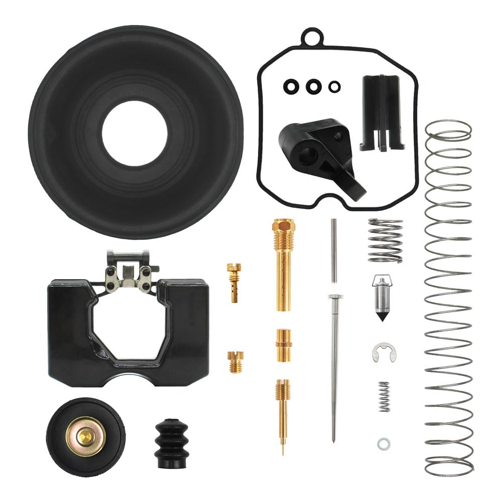 40mm Carb Repair Kit Z994