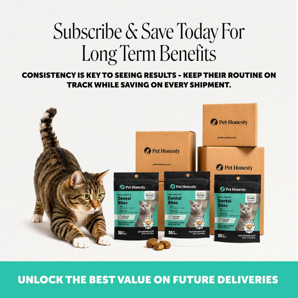 Cat Teeth Cleaning Bites W80136
