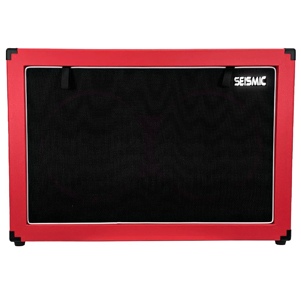 2x12 Empty Guitar Speaker Cabinet N611599