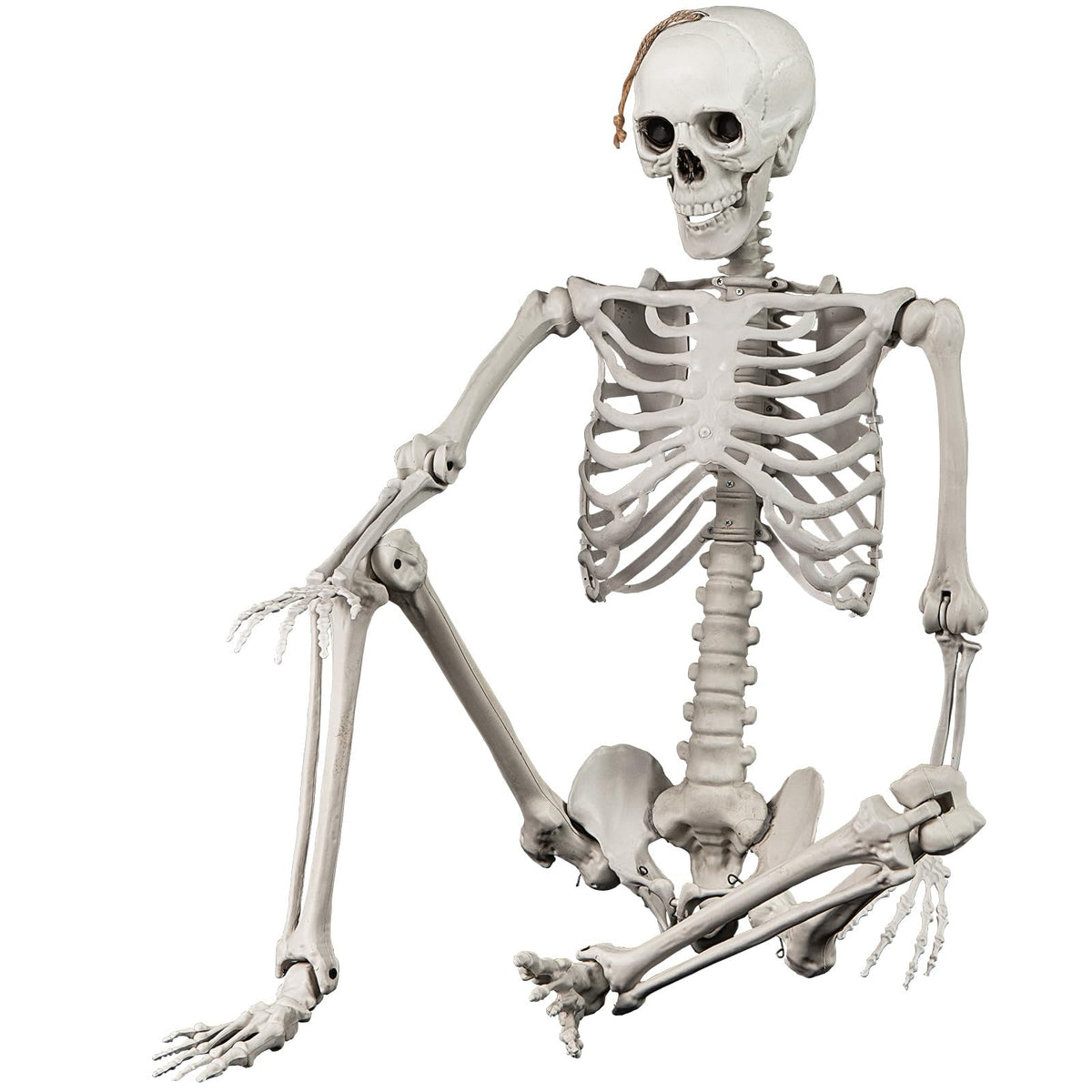 5.4 FT Life Size Posable Skeleton Decoration L590385