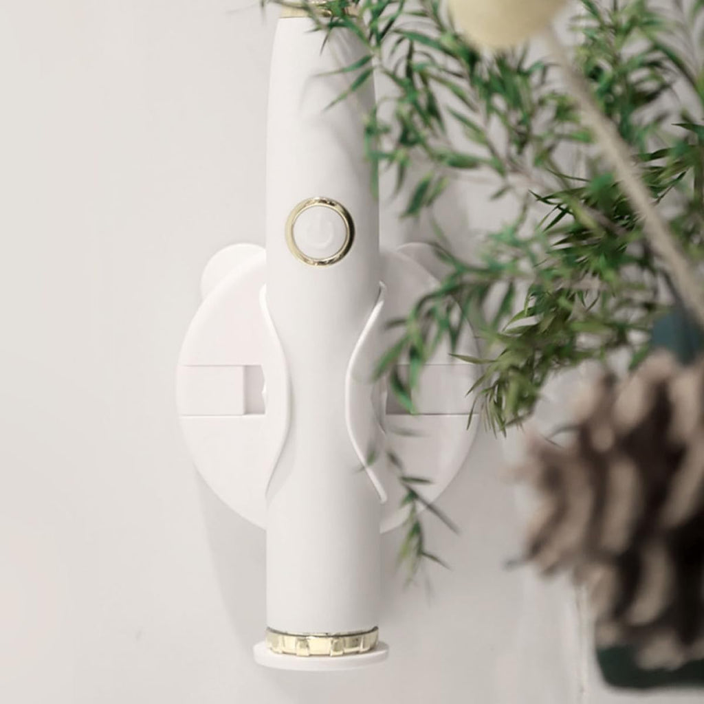Wall Mounted Electric Toothbrush Rack J299