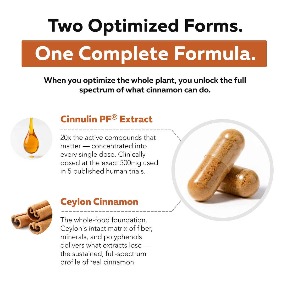 Cinnamon 1000mg Extract 60 Vegan Capsules F901