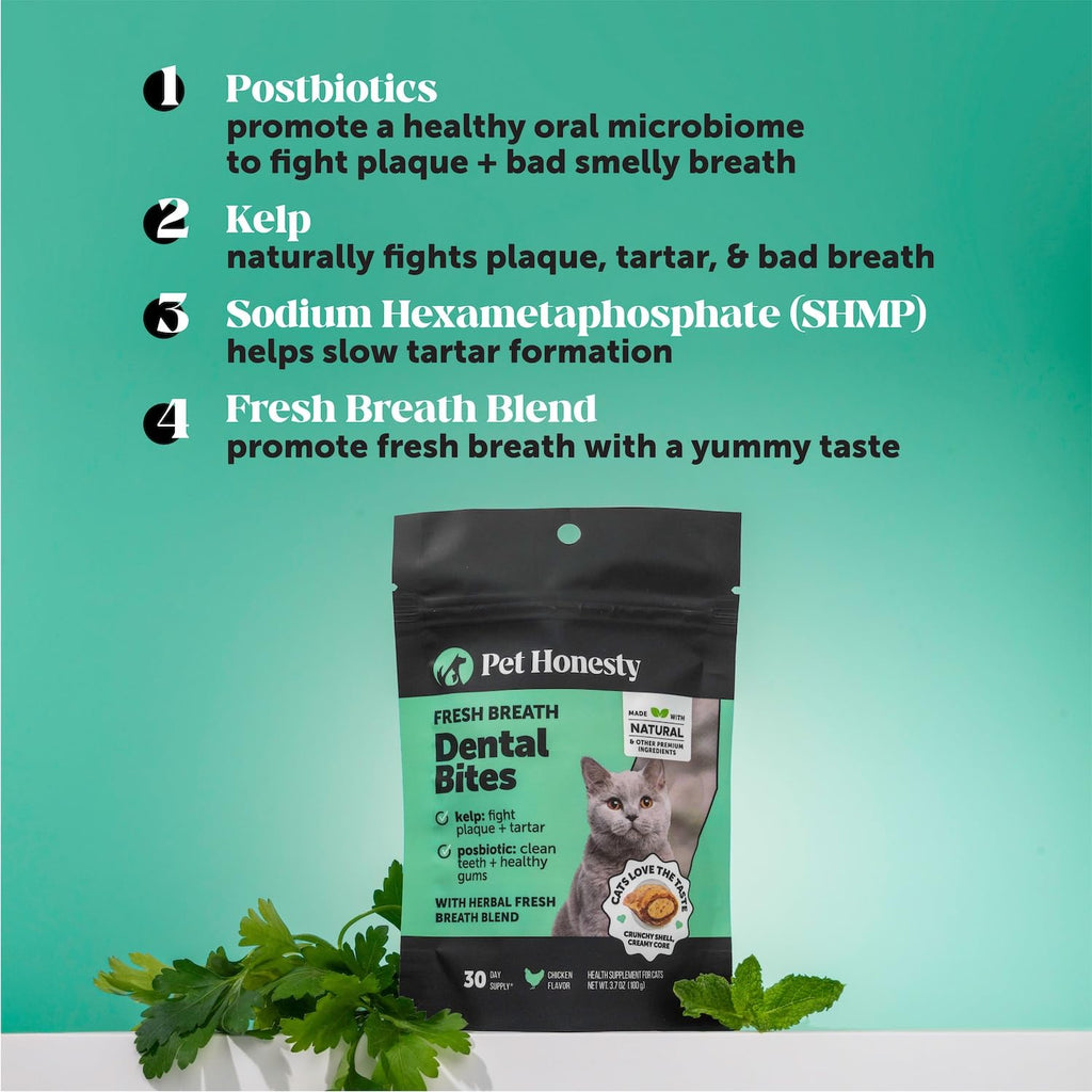 Cat Teeth Cleaning Bites W80136