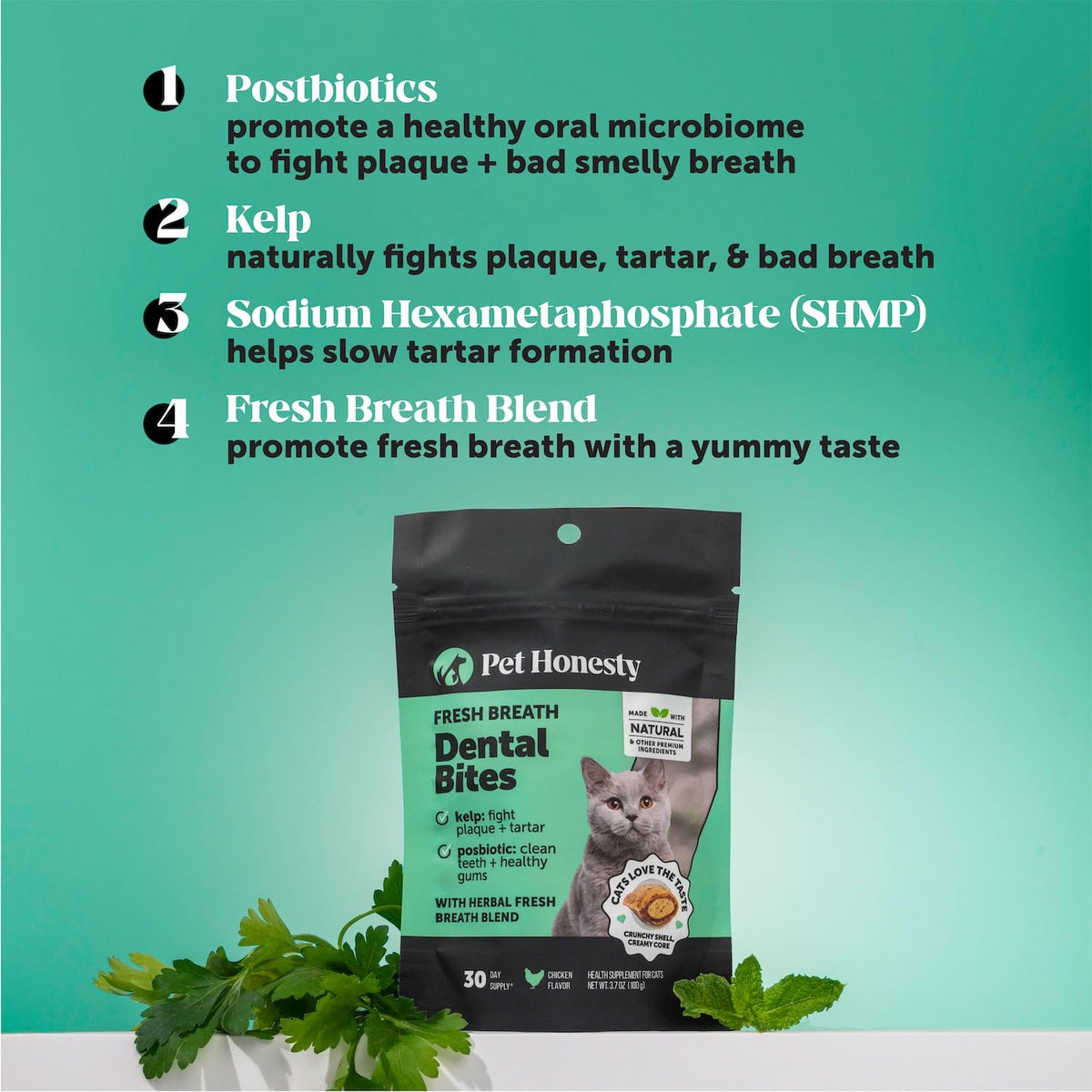 Cat Teeth Cleaning Bites W80136