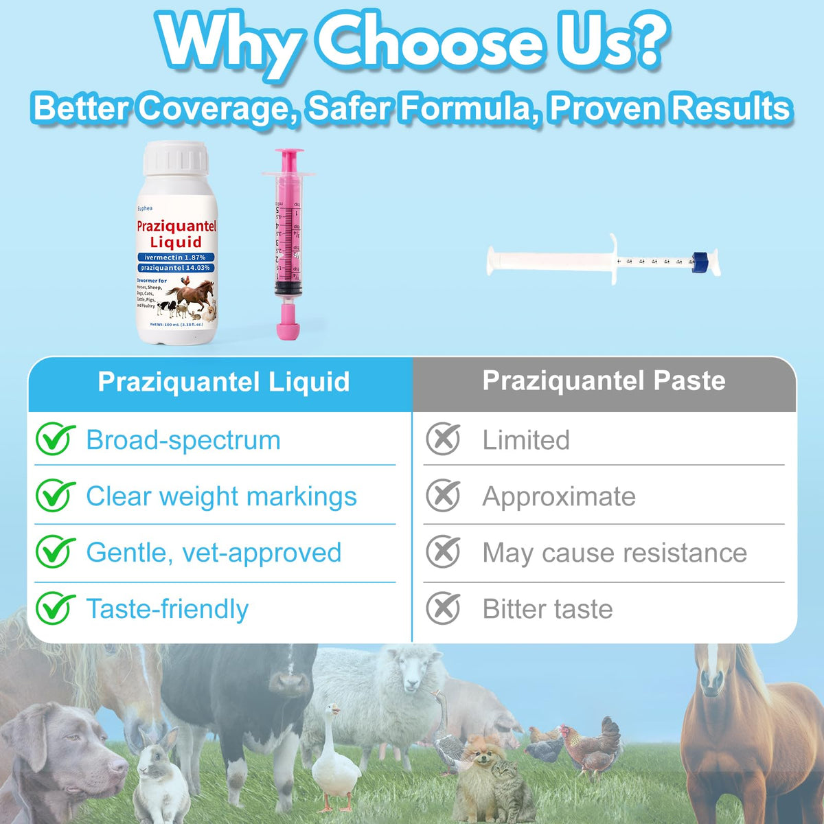Praziquantel Dewormer 100 mL U623