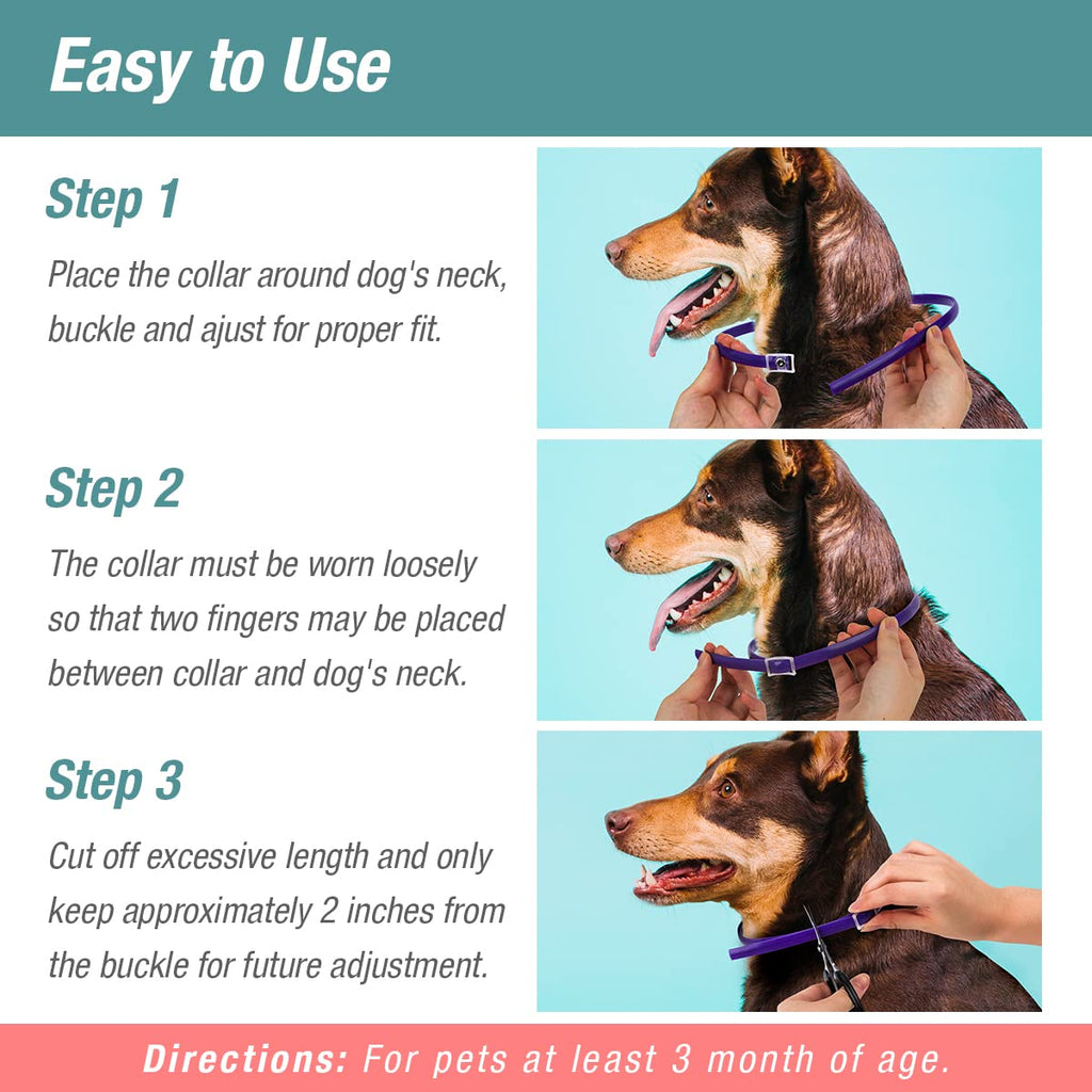 Flea & Tick Collar Plant Powered Blue 2-Pack G93970