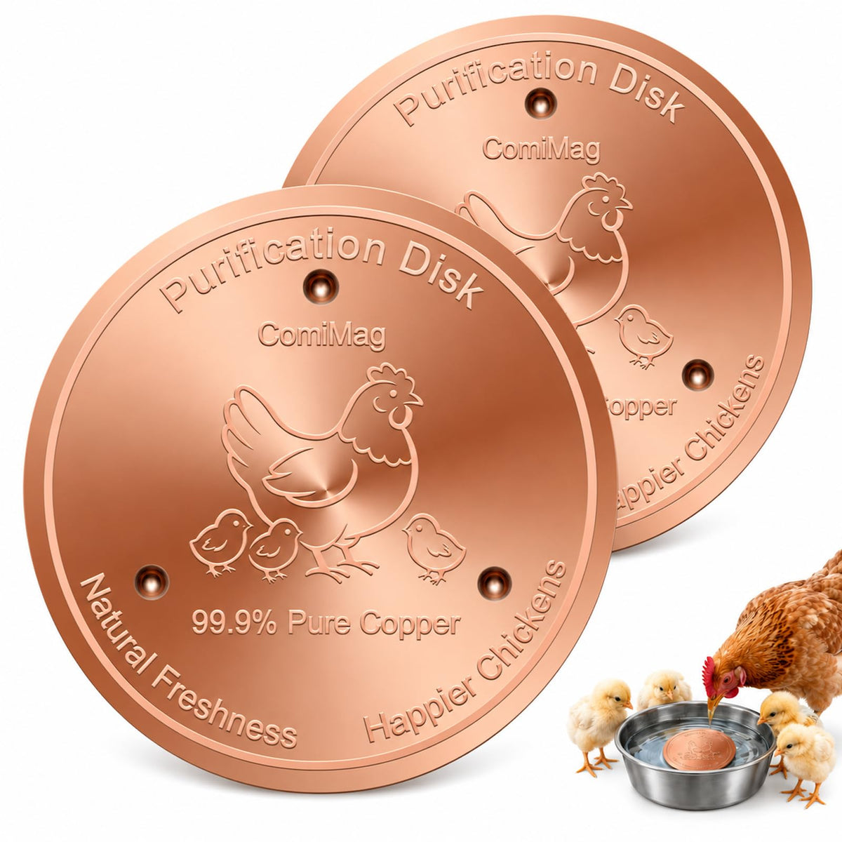 Copper Disc R284831