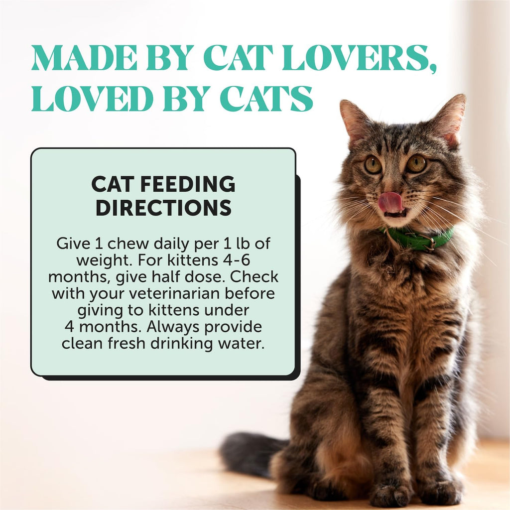 Cat Teeth Cleaning Bites W80136