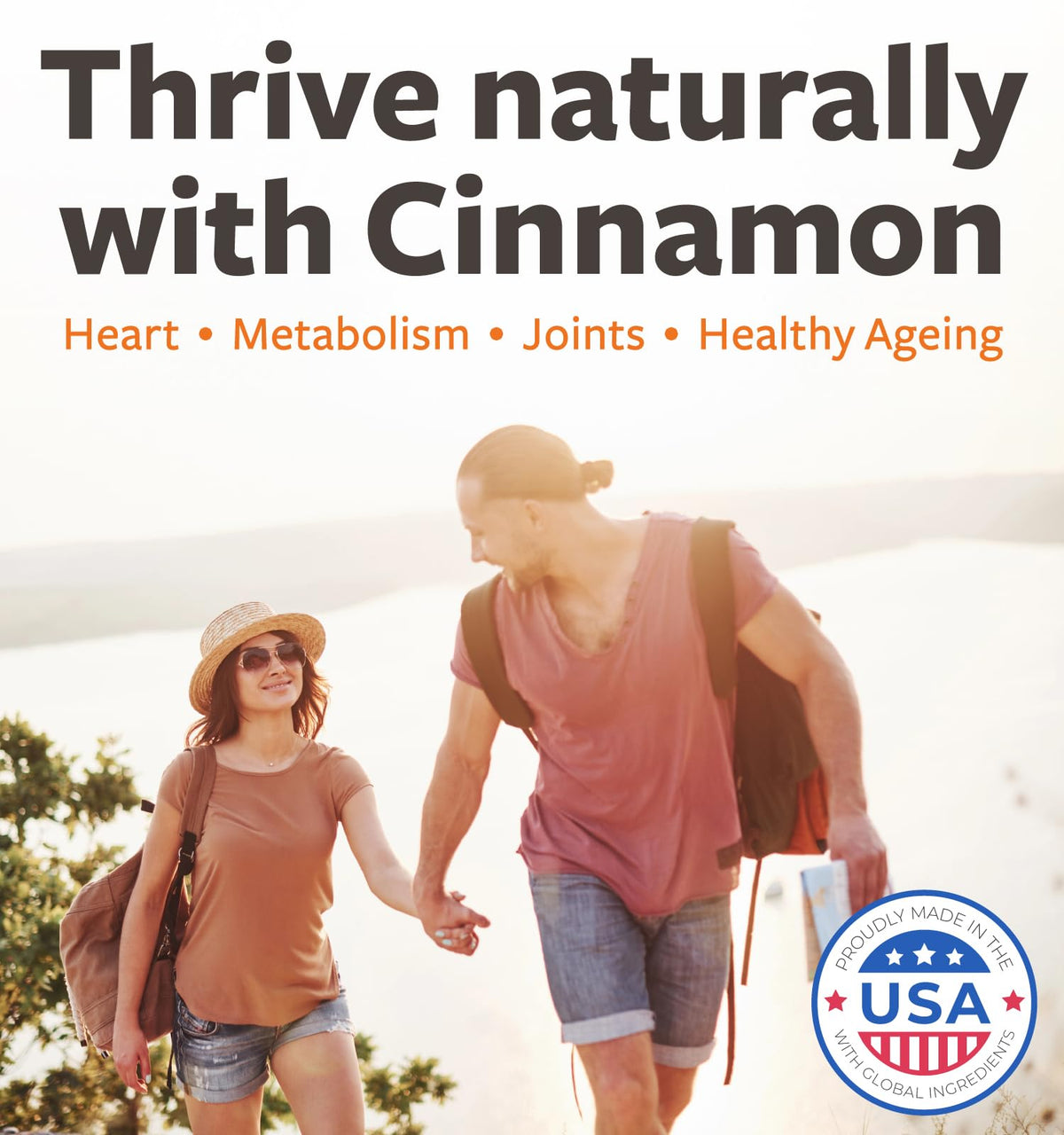 USDA Organic Ceylon Cinnamon 1000mg Vegan Non-GMO Supplement N7873