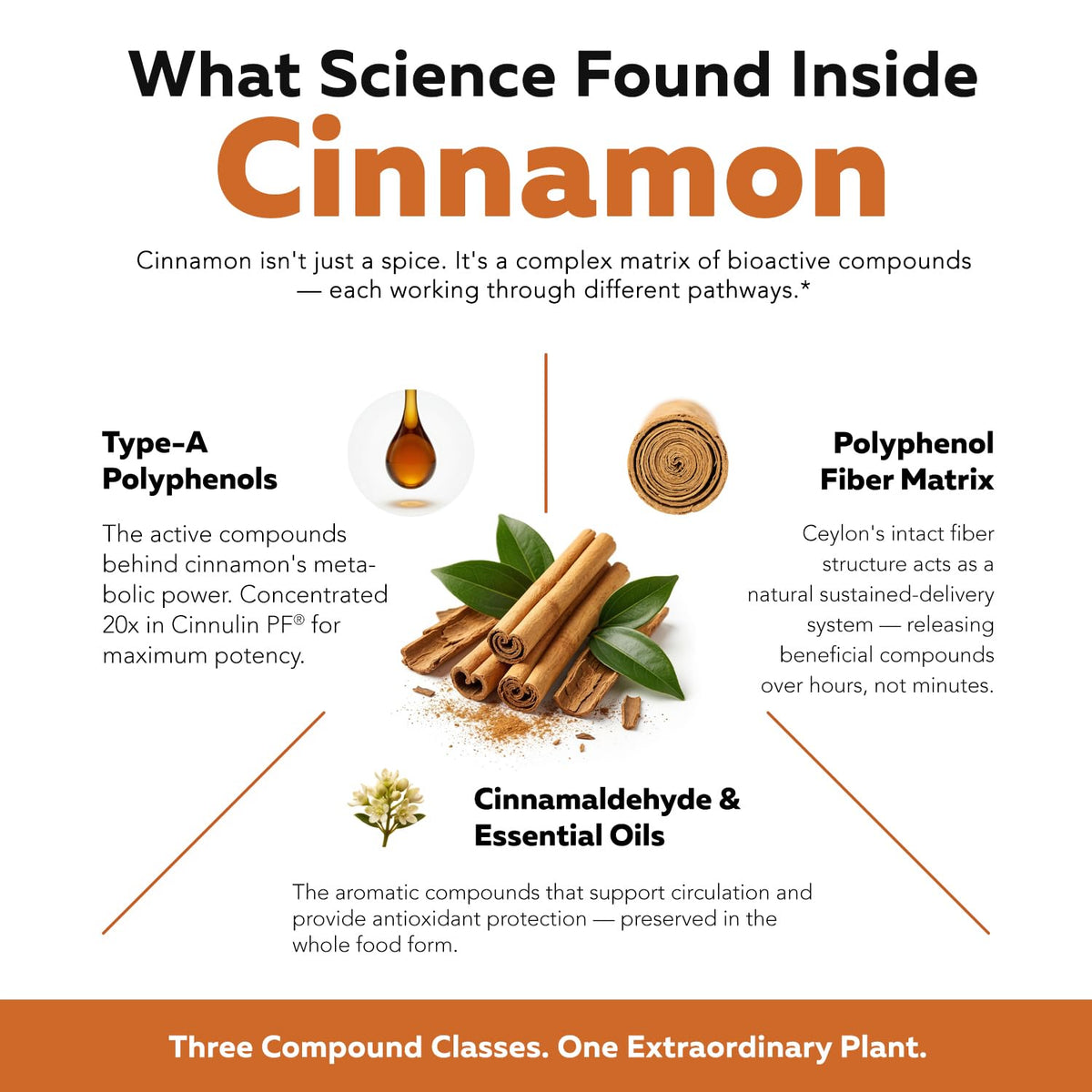 Cinnamon 1000mg Extract 60 Vegan Capsules F901