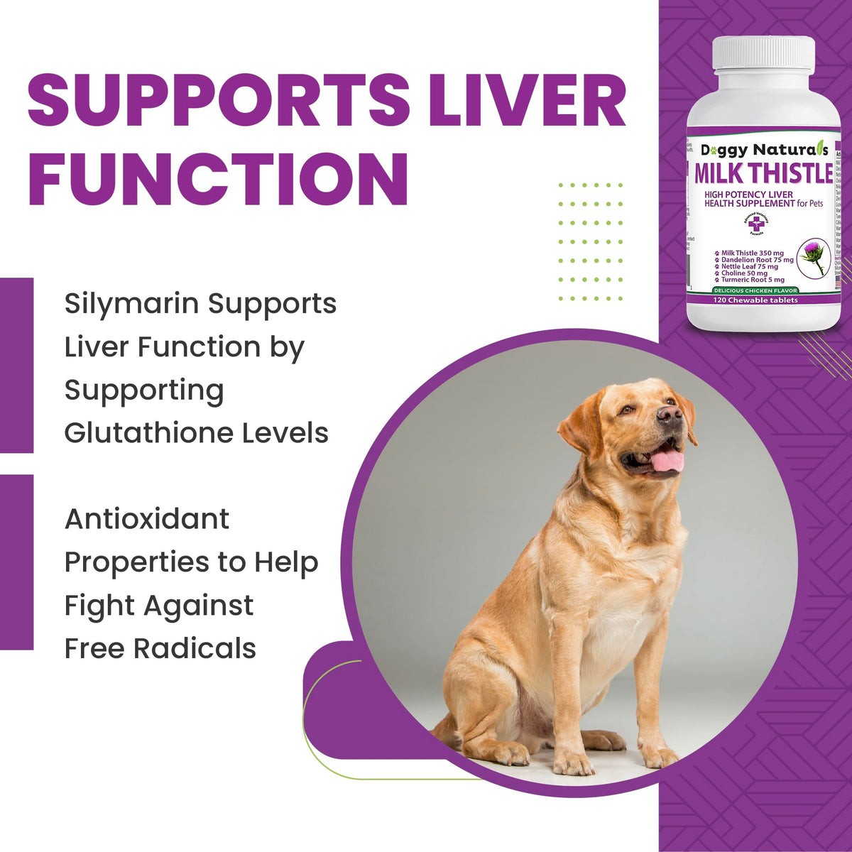 Milk Thistle Liver Health Supplement for Dogs 120 tabs N980477