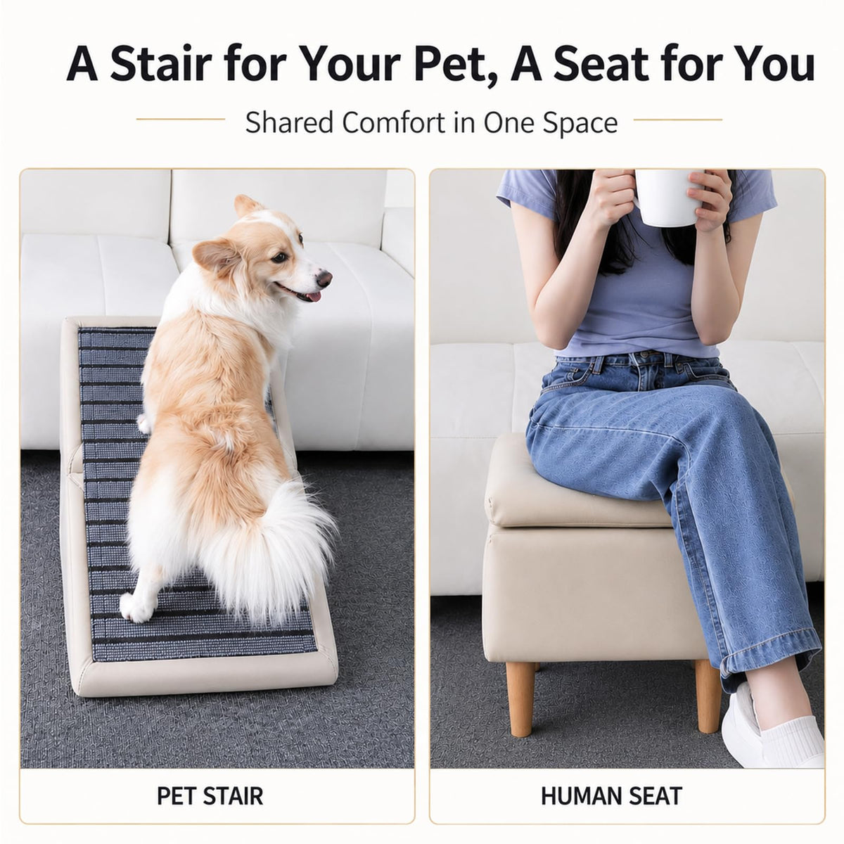 Folding Dog Ramp Z685520