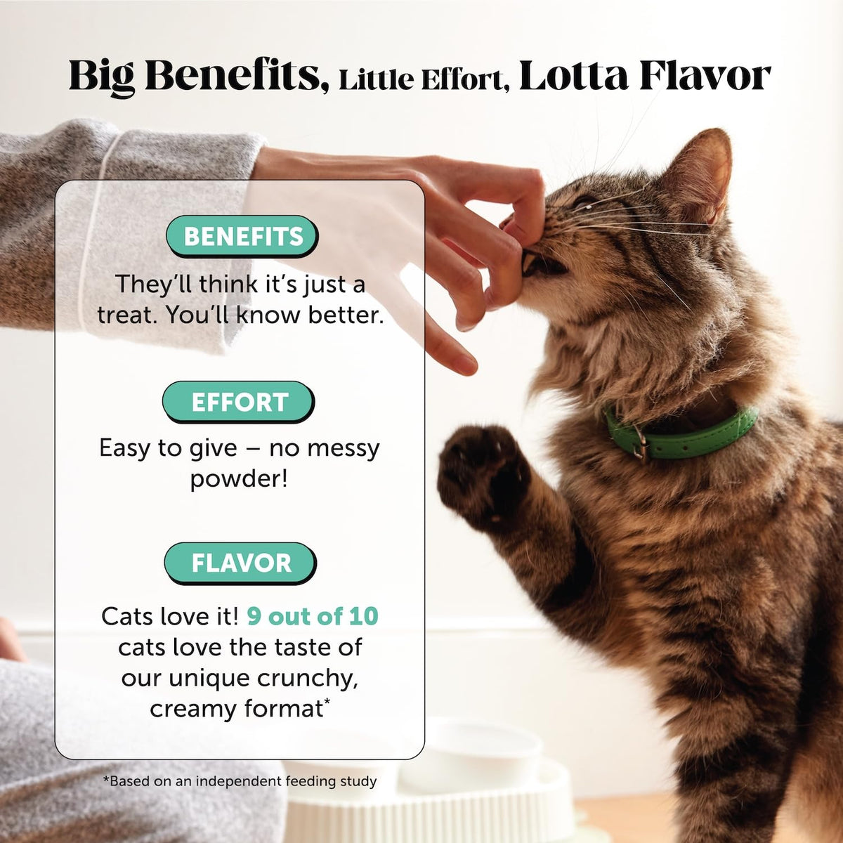 Cat Teeth Cleaning Bites W80136