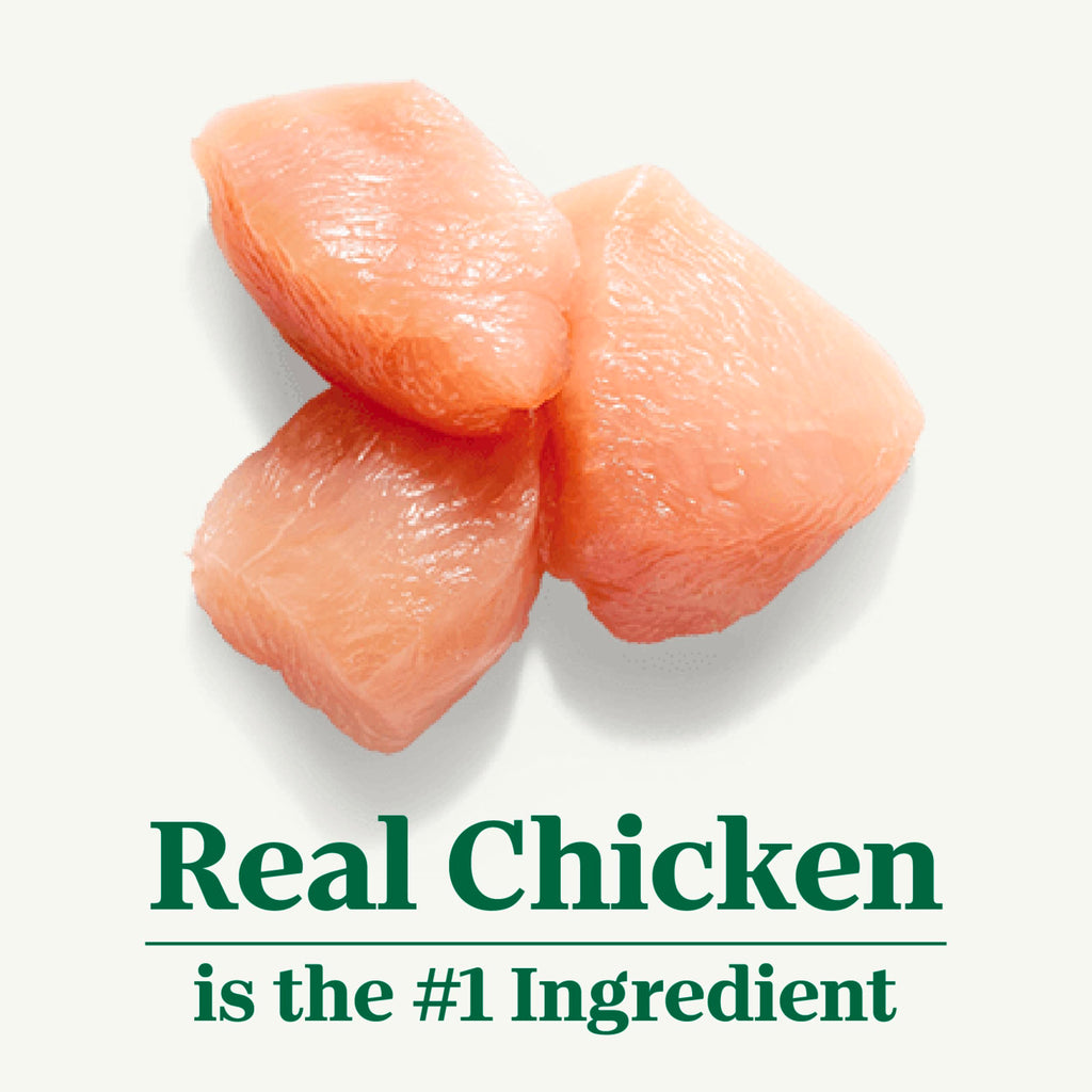 Indoor Adult Dry Cat Food Chicken & Rice 3 lb P696