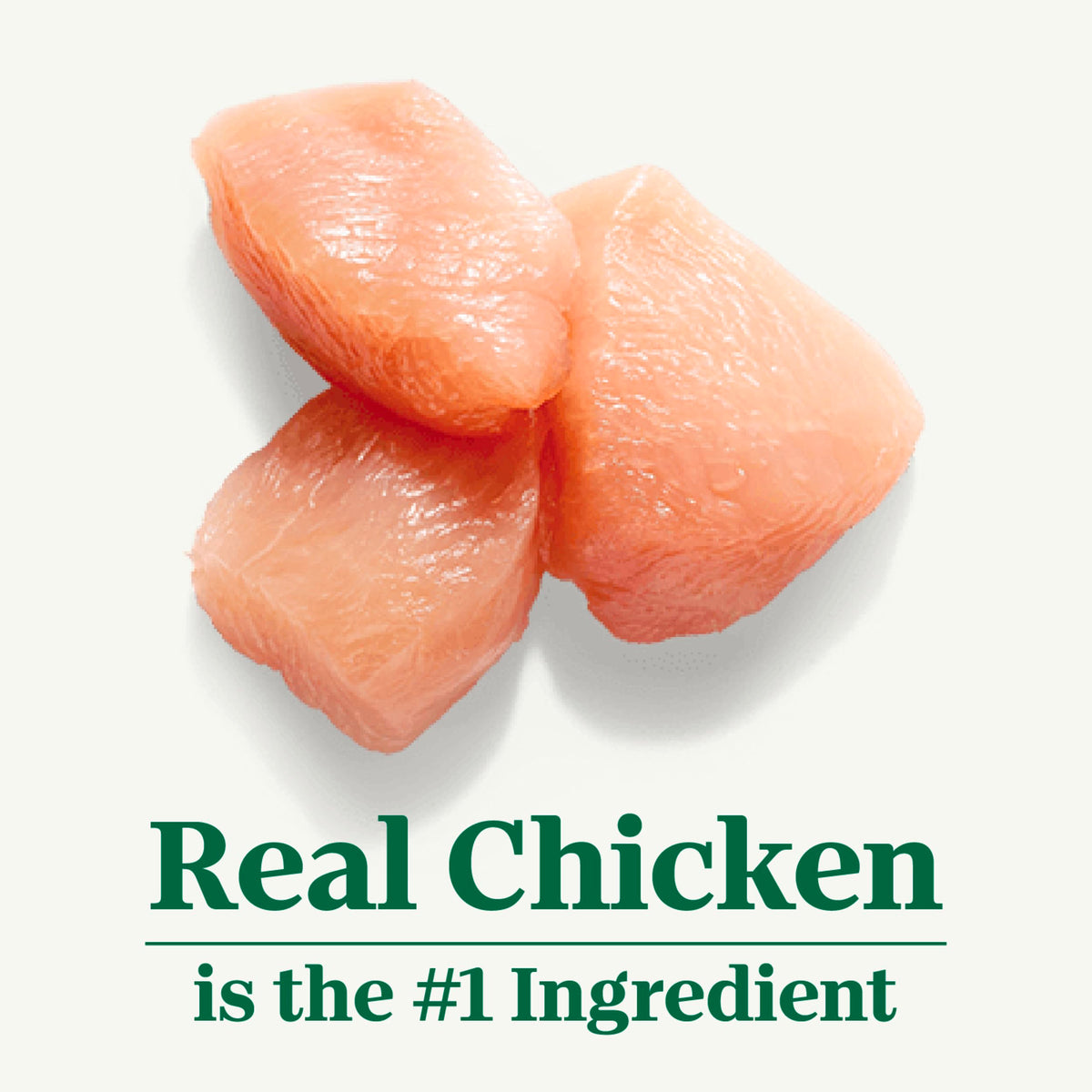 Indoor Adult Dry Cat Food Chicken & Rice 3 lb P696