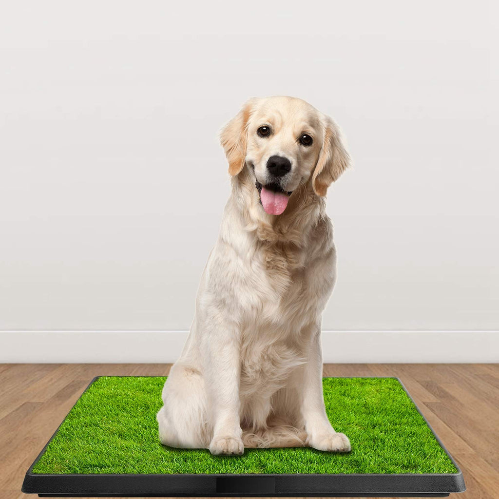 Indoor Dog Toilet Puppy Training Pad K939496