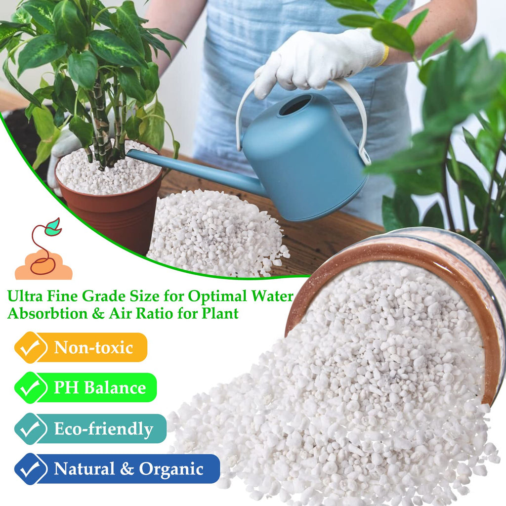 4 Quarts Organic Perlite for Plants O328