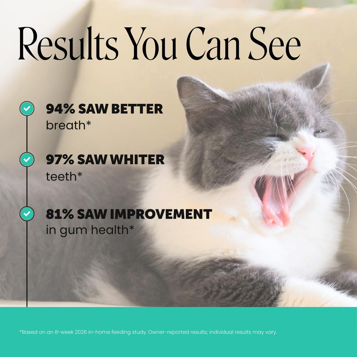 Cat Teeth Cleaning Bites W80136