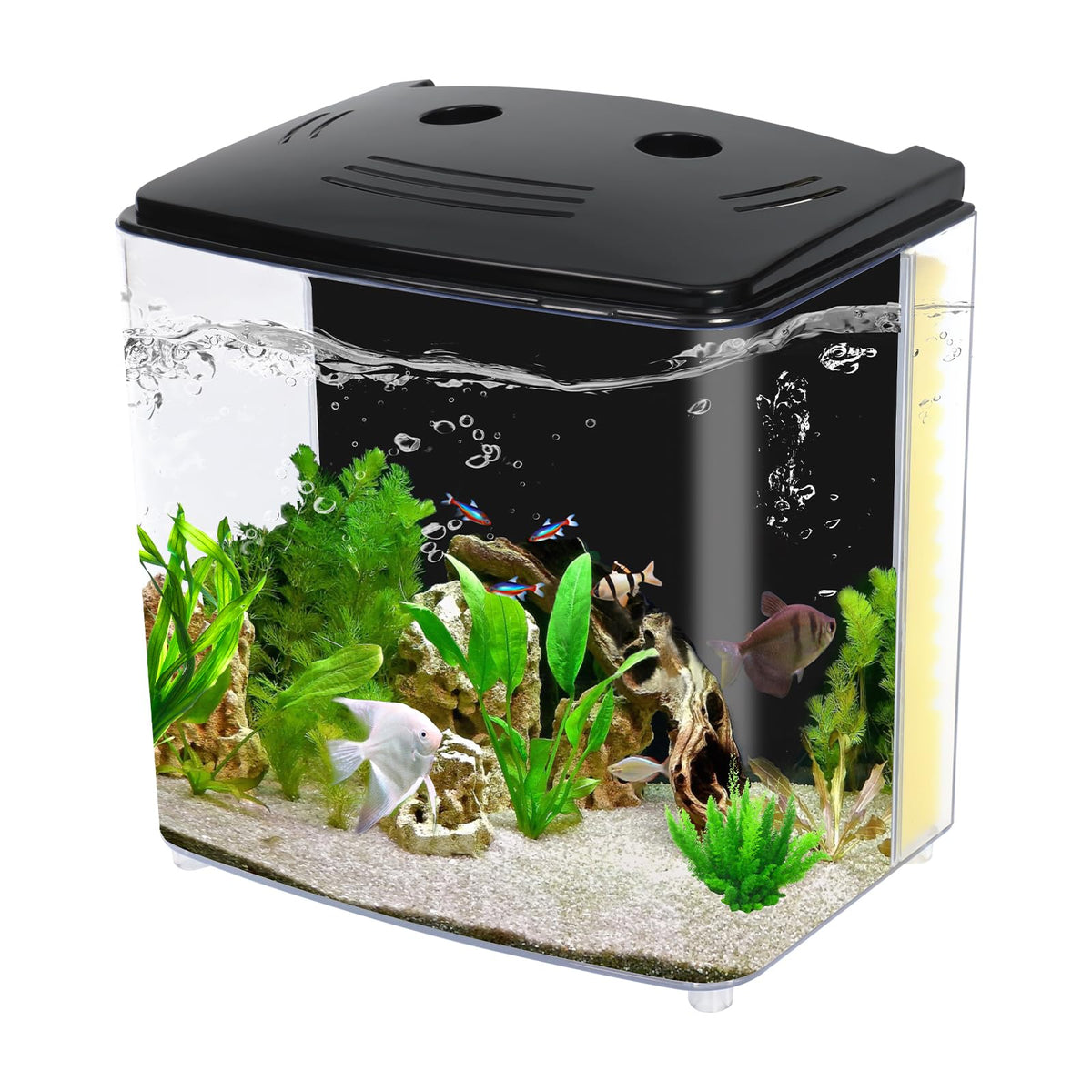 1.2 Gallon Aquarium Starter Kit with LED Light and Water Filter Pump R78333