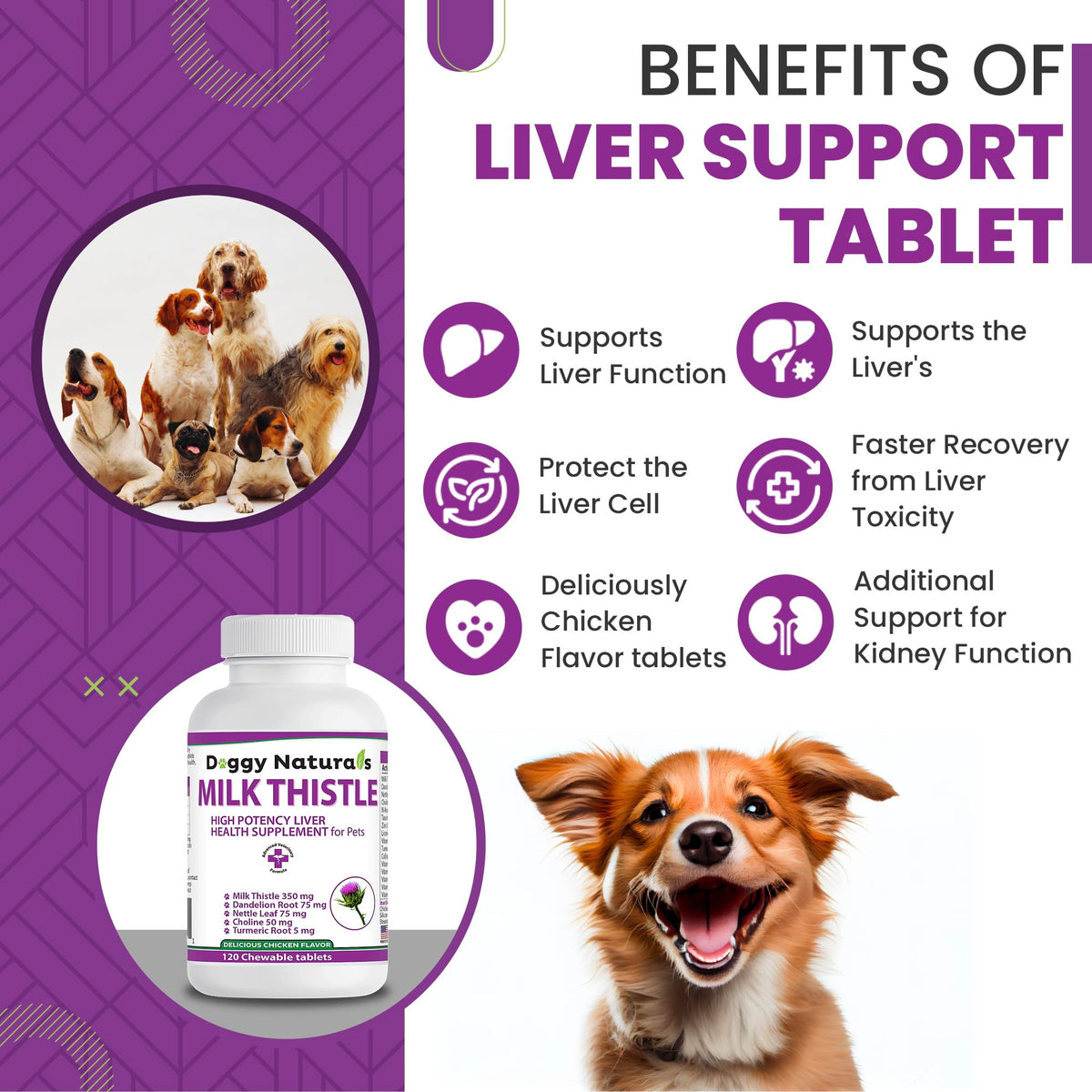 Milk Thistle Liver Health Supplement for Dogs 120 tabs N980477