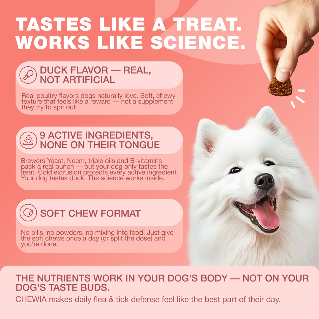 Dog Flea & Tick Chews H7949