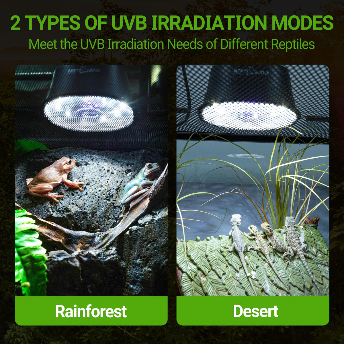 UVB Reptile Light with Basking Platform Combo Kit U708915