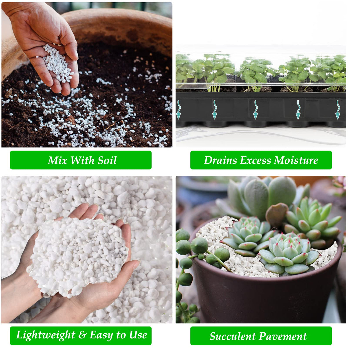 4 Quarts Organic Perlite for Plants O328