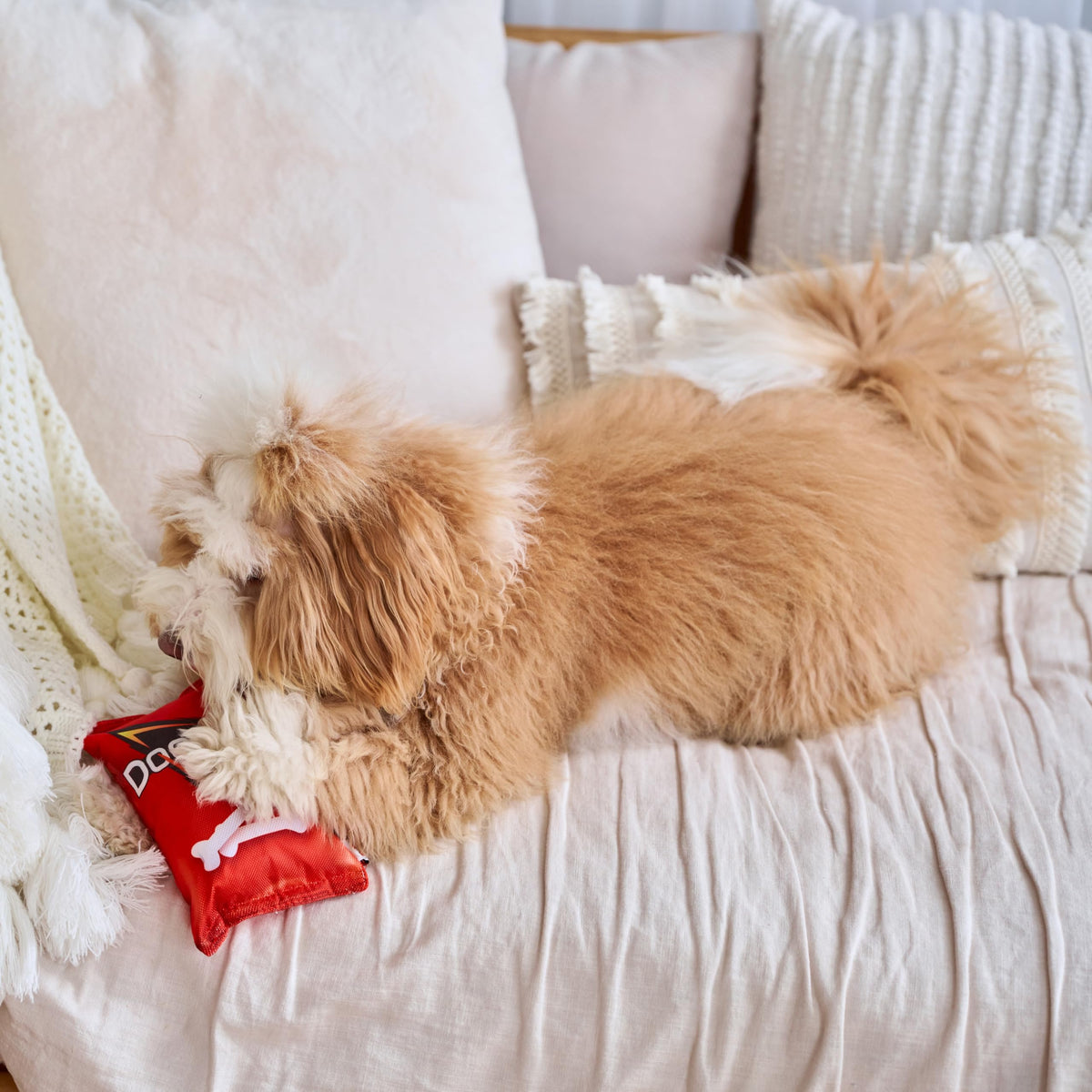 Plush Squeaker Toy for Small and Medium Dogs A2518