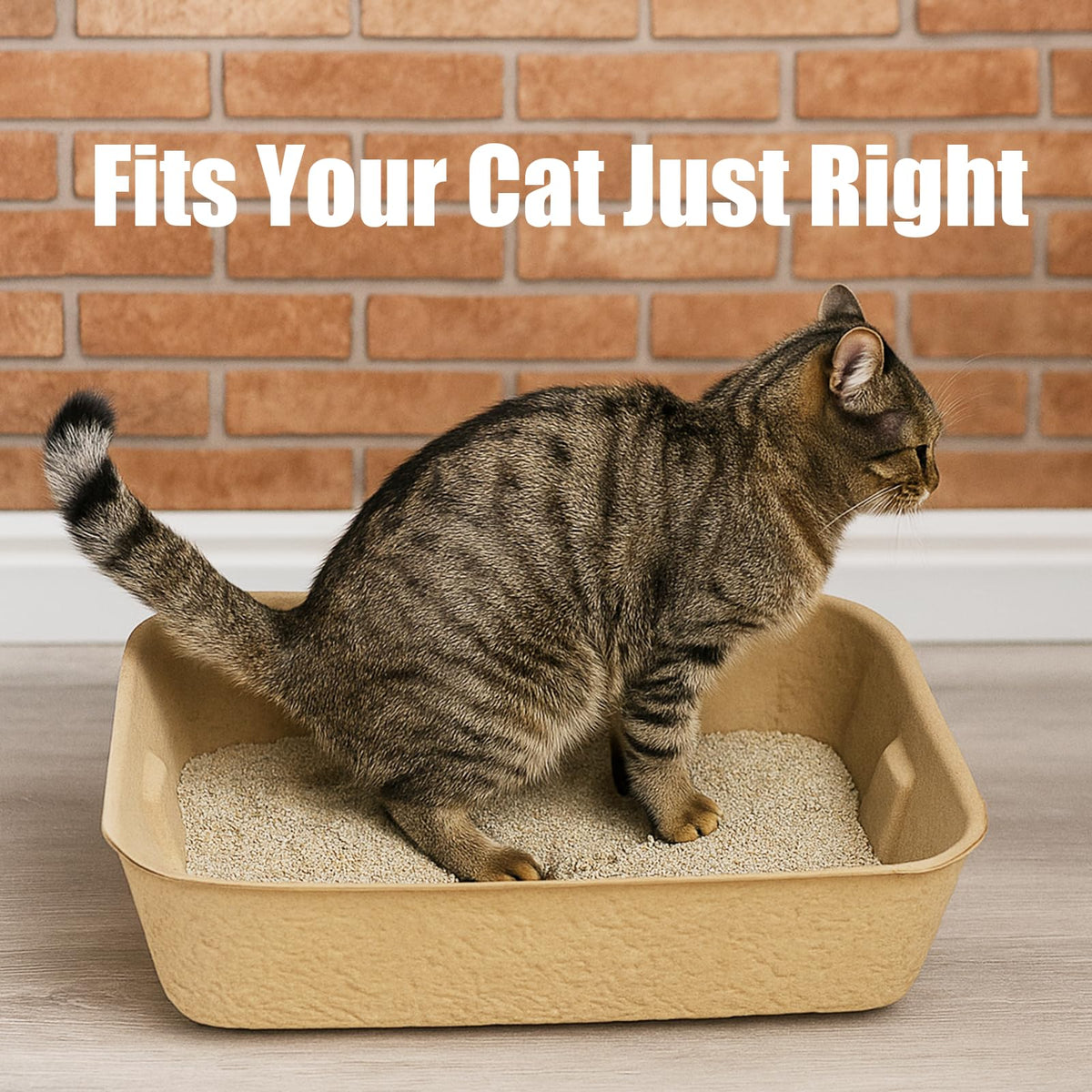 8 Pack Disposable Litter Boxes U68921