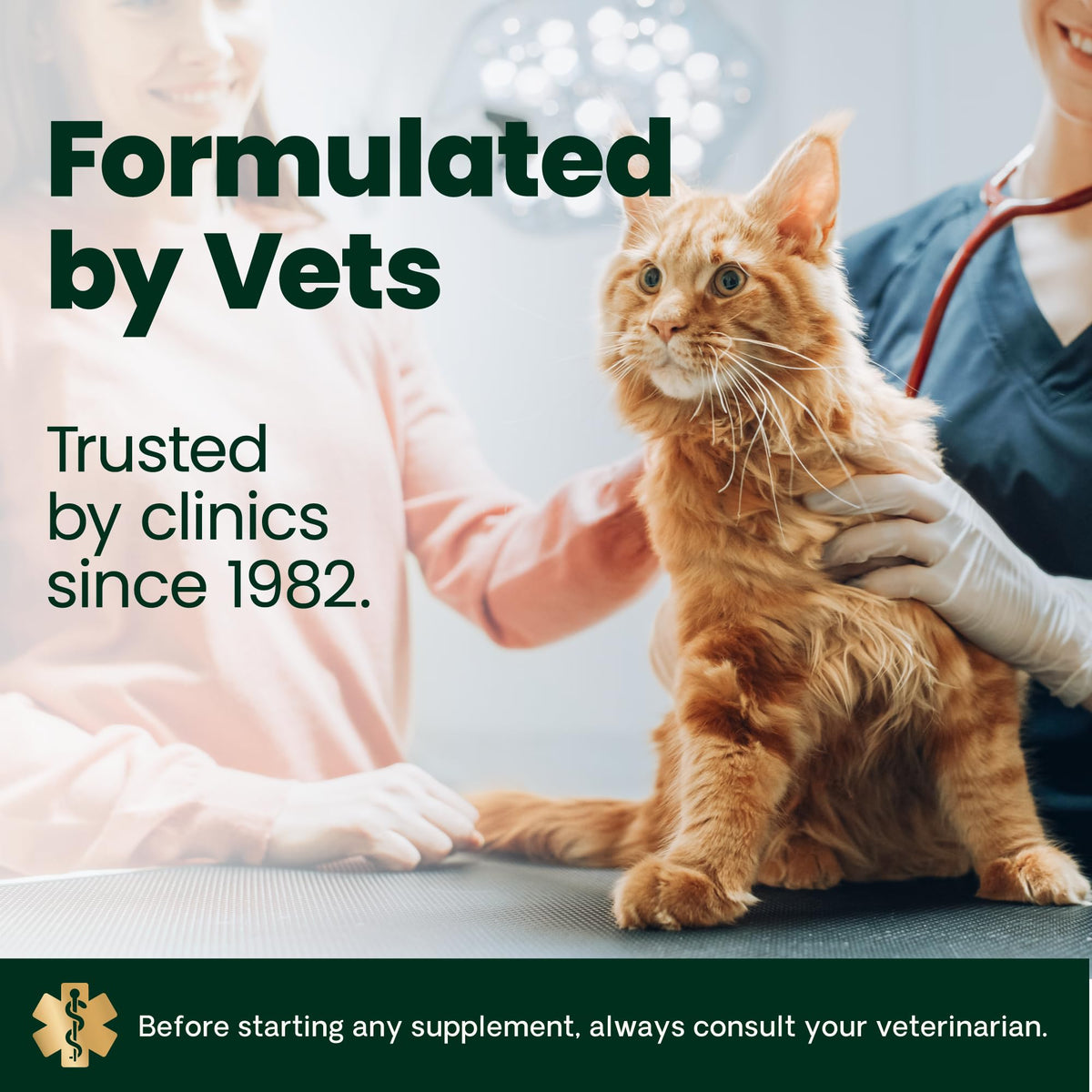 Hairball Control Chicken Chews G4580