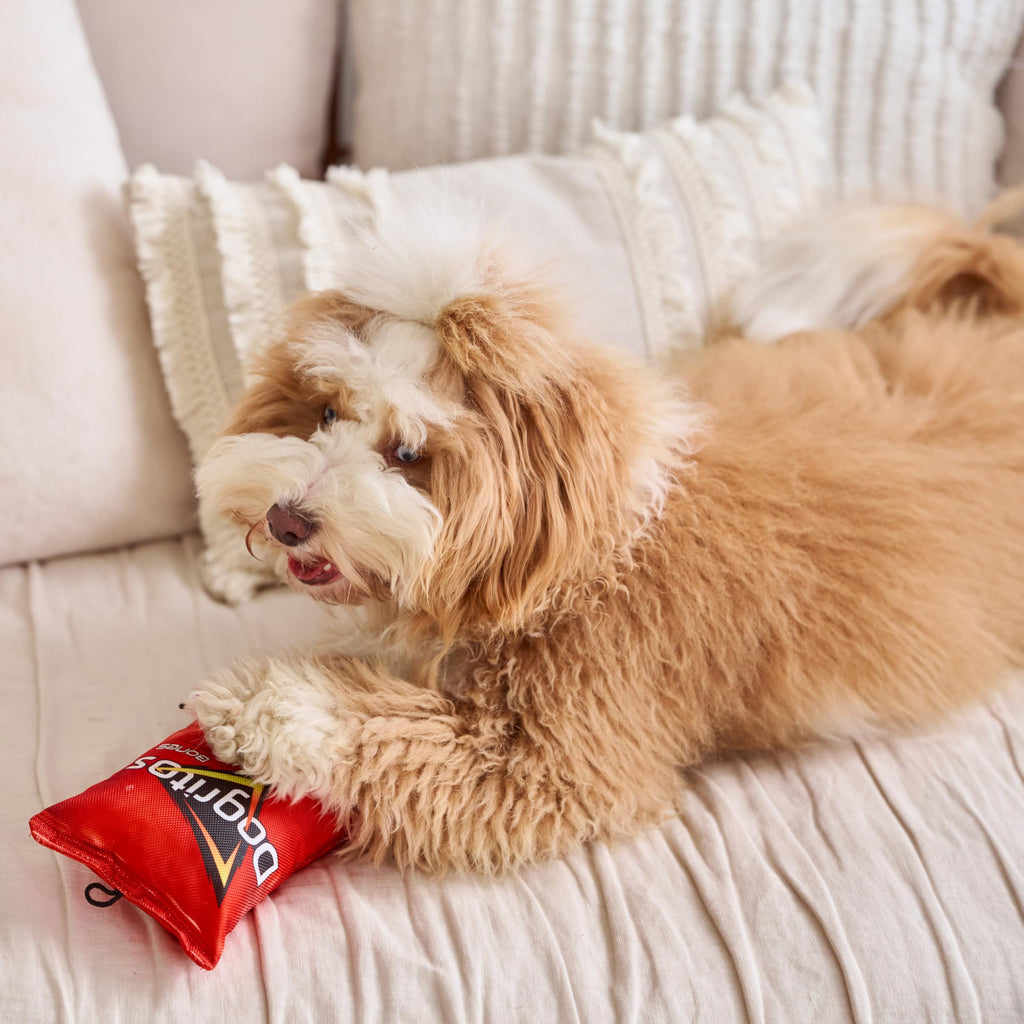 Plush Squeaker Toy for Small and Medium Dogs A2518