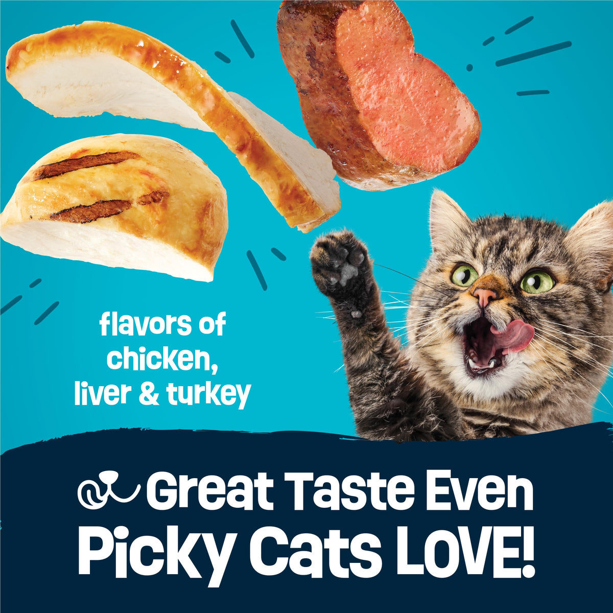 Dry Cat Food 15 lb. Bag J213717