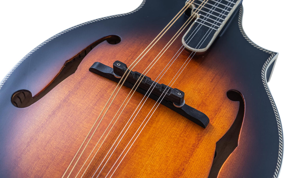 Brown Burst F-Style Mandolin M582837