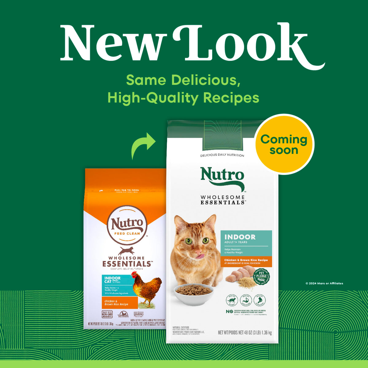 Indoor Adult Dry Cat Food Chicken & Rice 3 lb P696