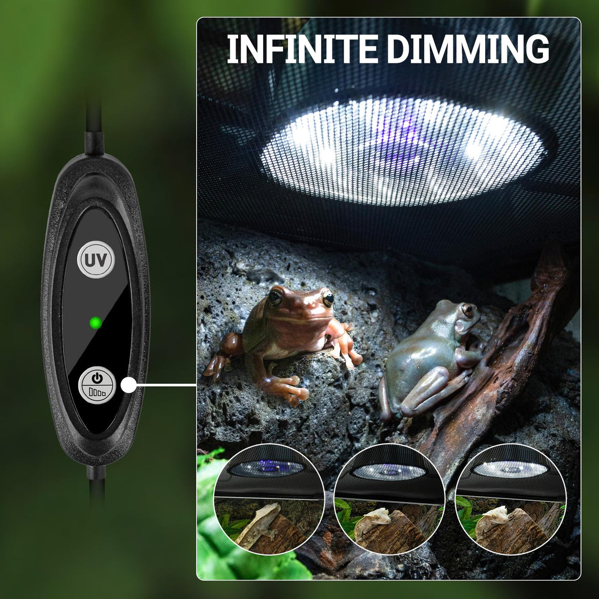 UVB Reptile Light with Basking Platform Combo Kit U708915