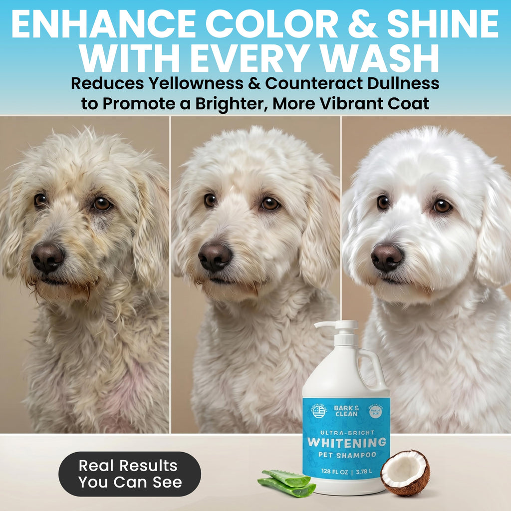 Whitening Dog Shampoo with Pump, 1 Gallon Aloe Coconut S7759