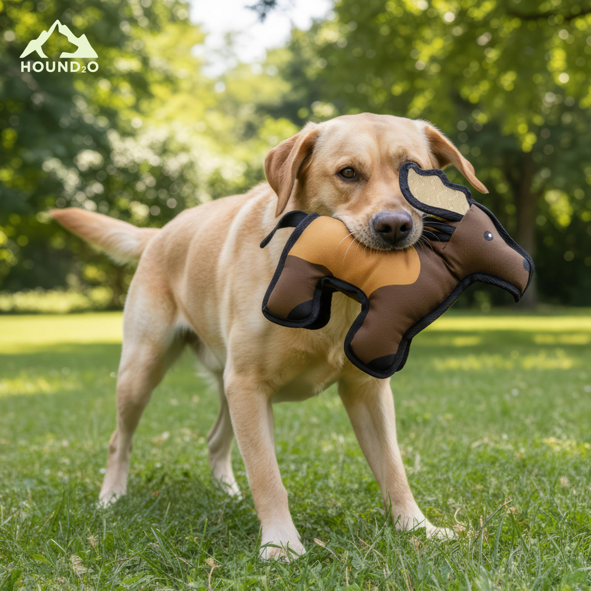Plush Dog Toy V602767