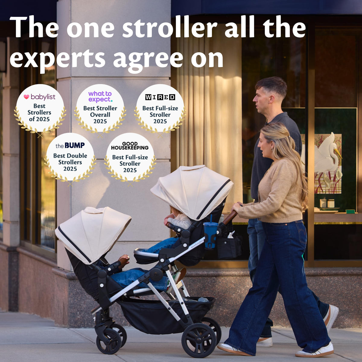 Convertible Stroller U736
