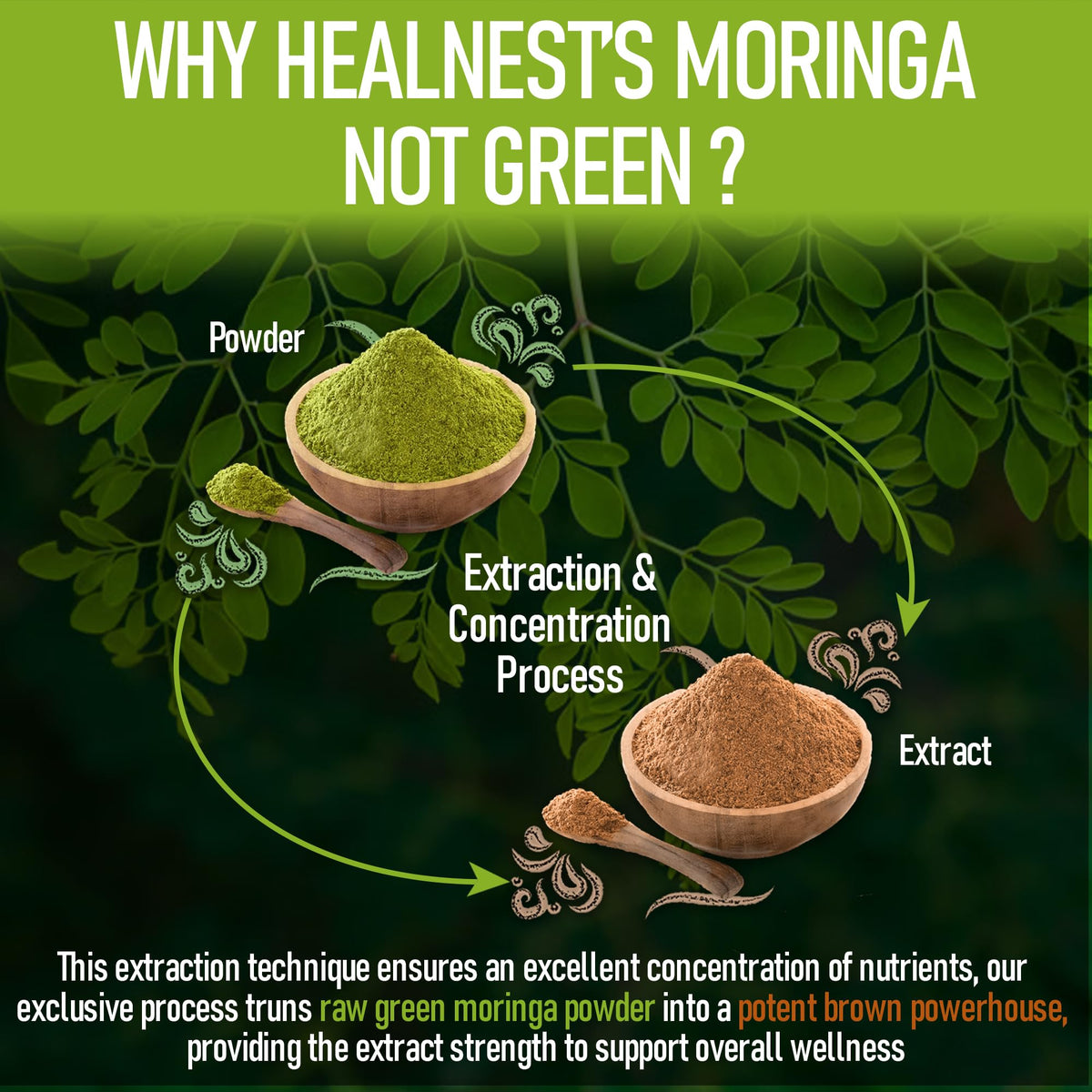 Moringa Extract Capsules 20:1 120 Capsules Vegan E154