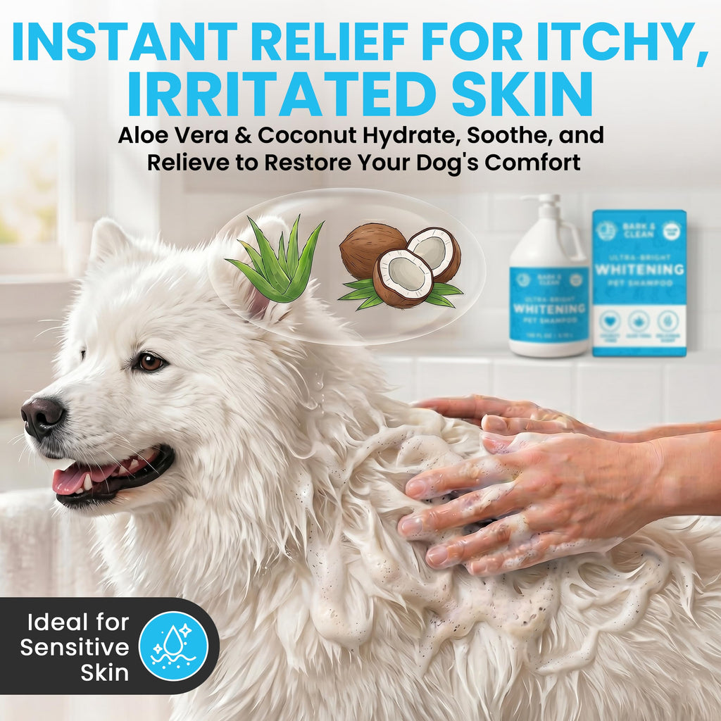 Whitening Dog Shampoo with Pump, 1 Gallon Aloe Coconut S7759