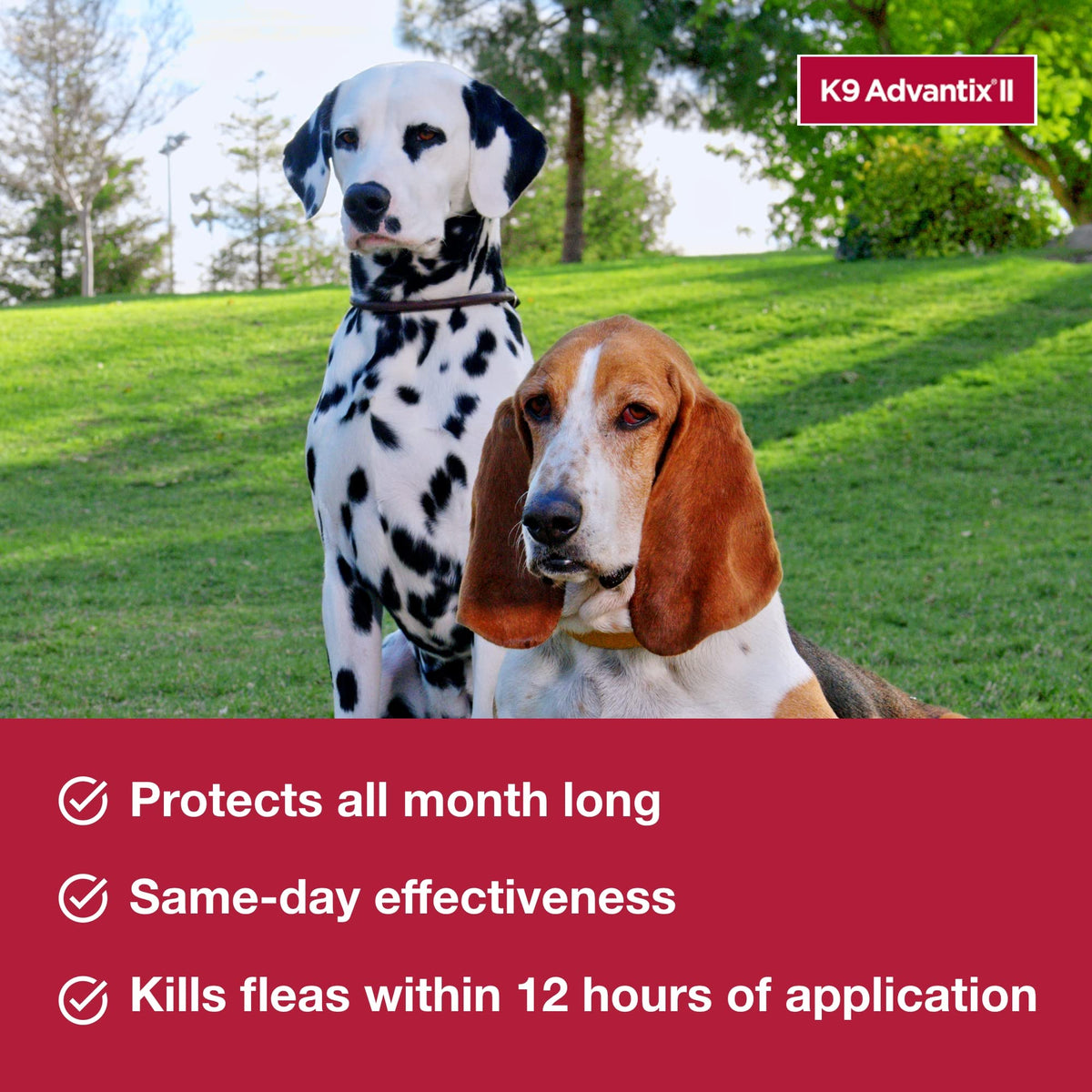 Flea & Tick Topical for Medium Dogs 11–20 lbs., 2ct S489755