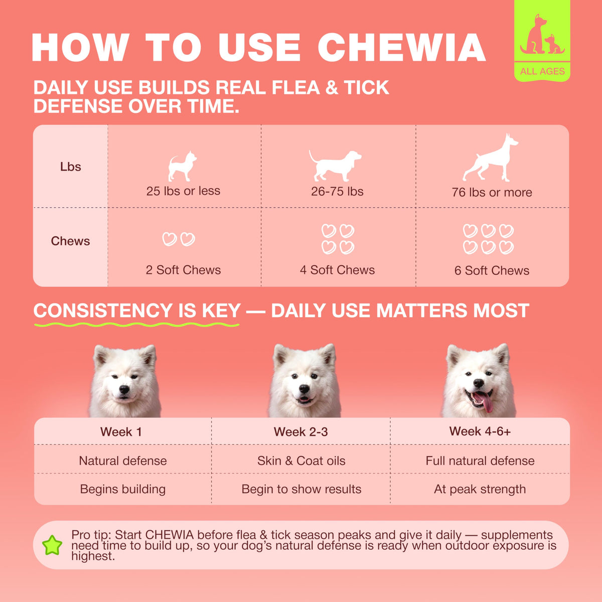 Dog Flea & Tick Chews H7949