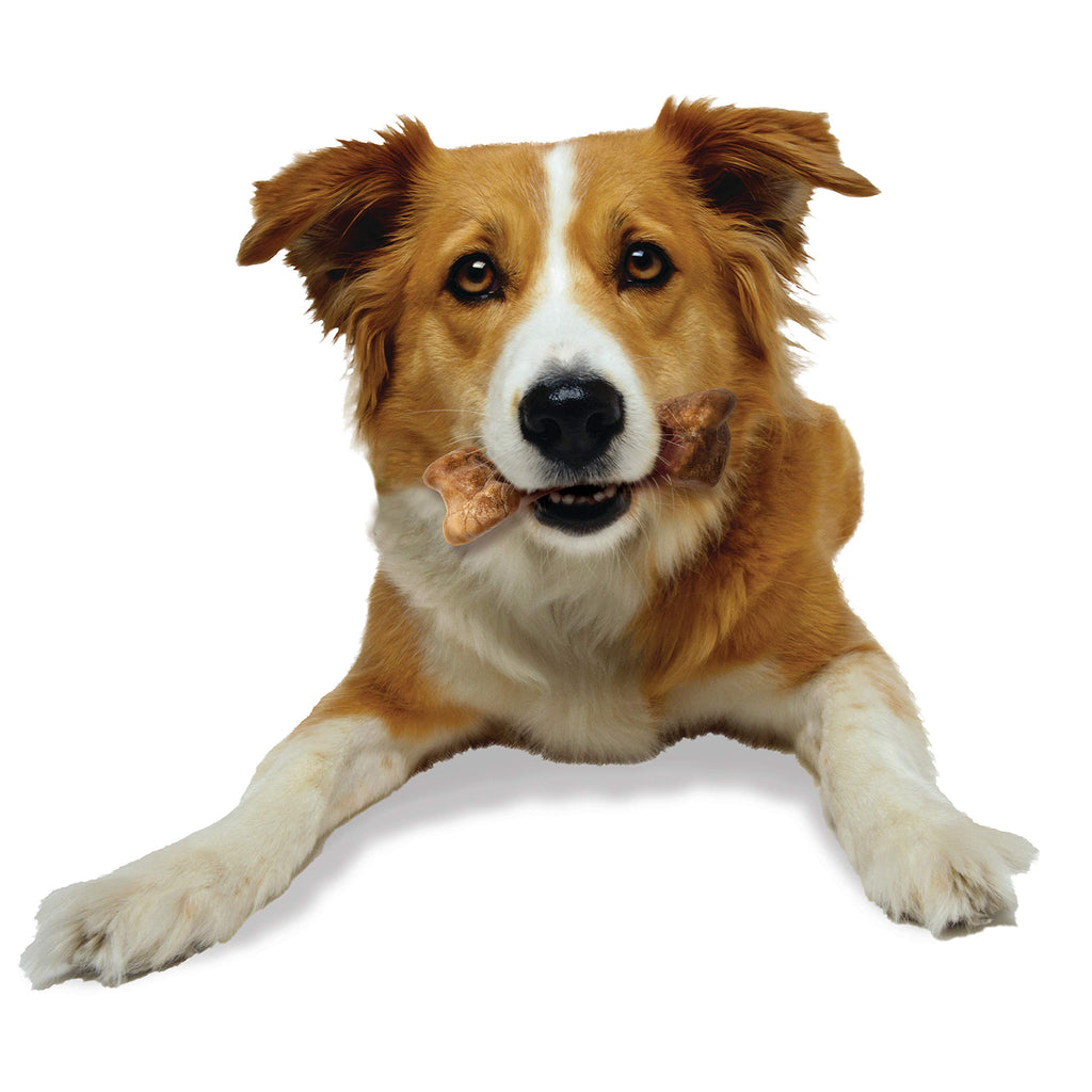 Bison Flavor Medium Dog Treats 2 Count W528264