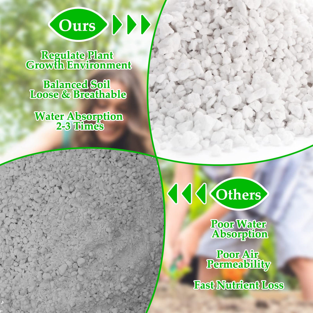 4 Quarts Organic Perlite for Plants O328