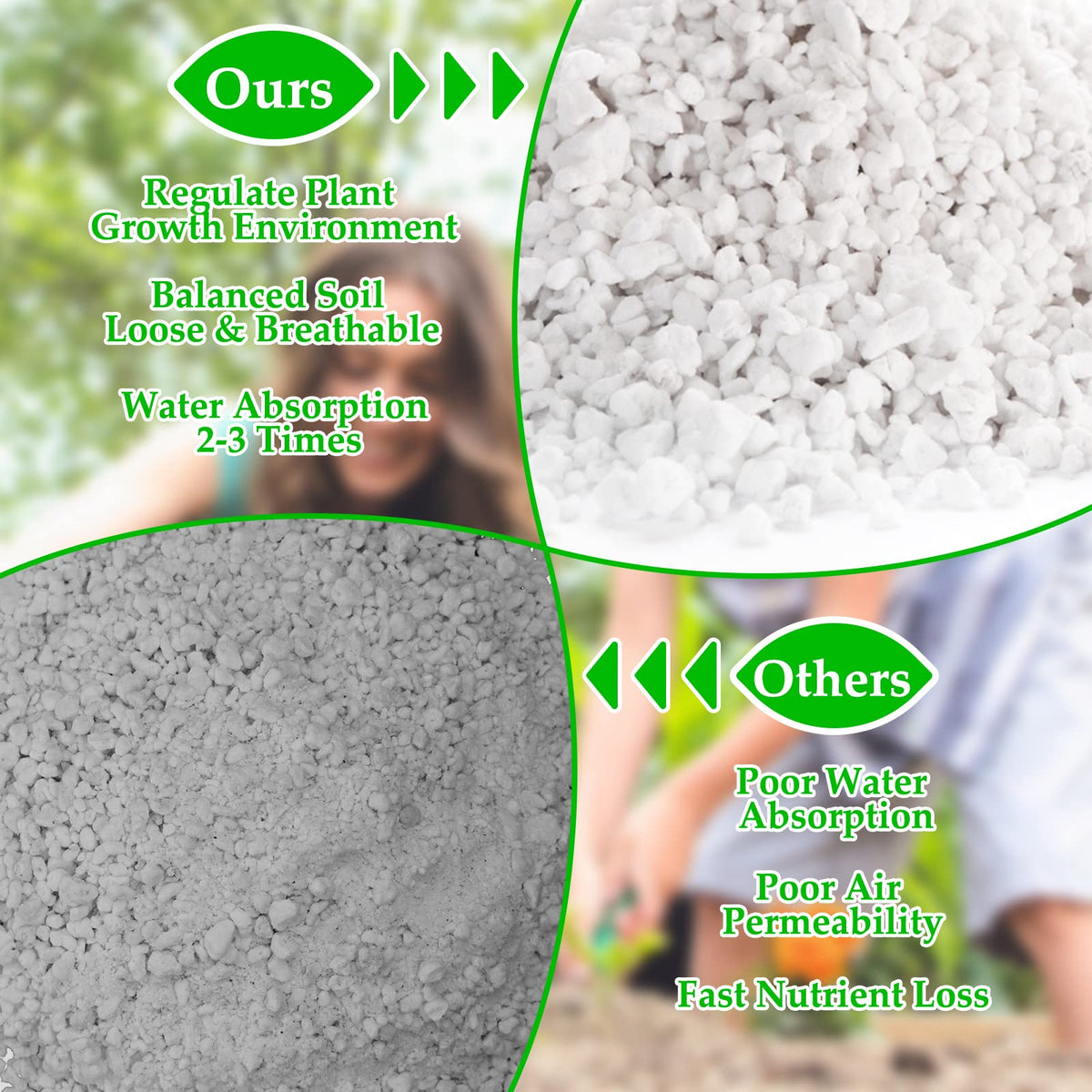 4 Quarts Organic Perlite for Plants O328