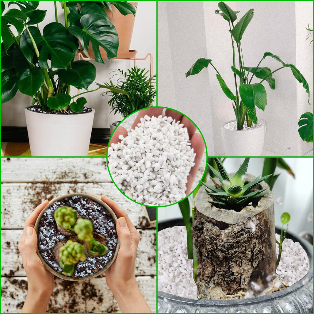 4 Quarts Organic Perlite for Plants O328