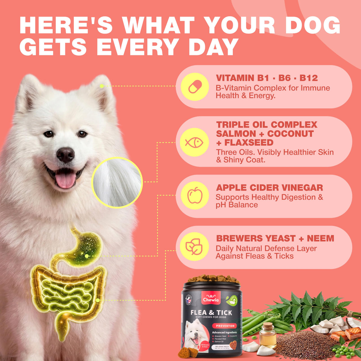 Dog Flea & Tick Chews H7949