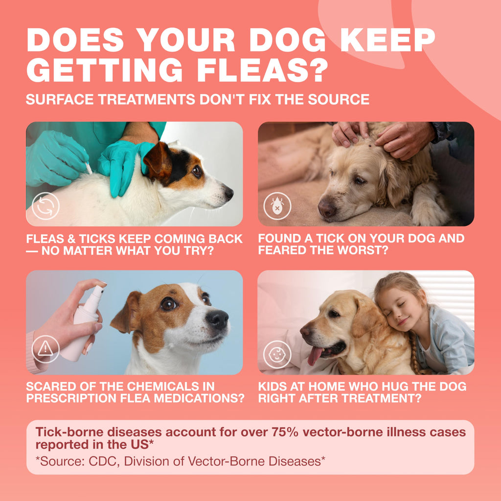 Dog Flea & Tick Chews H7949