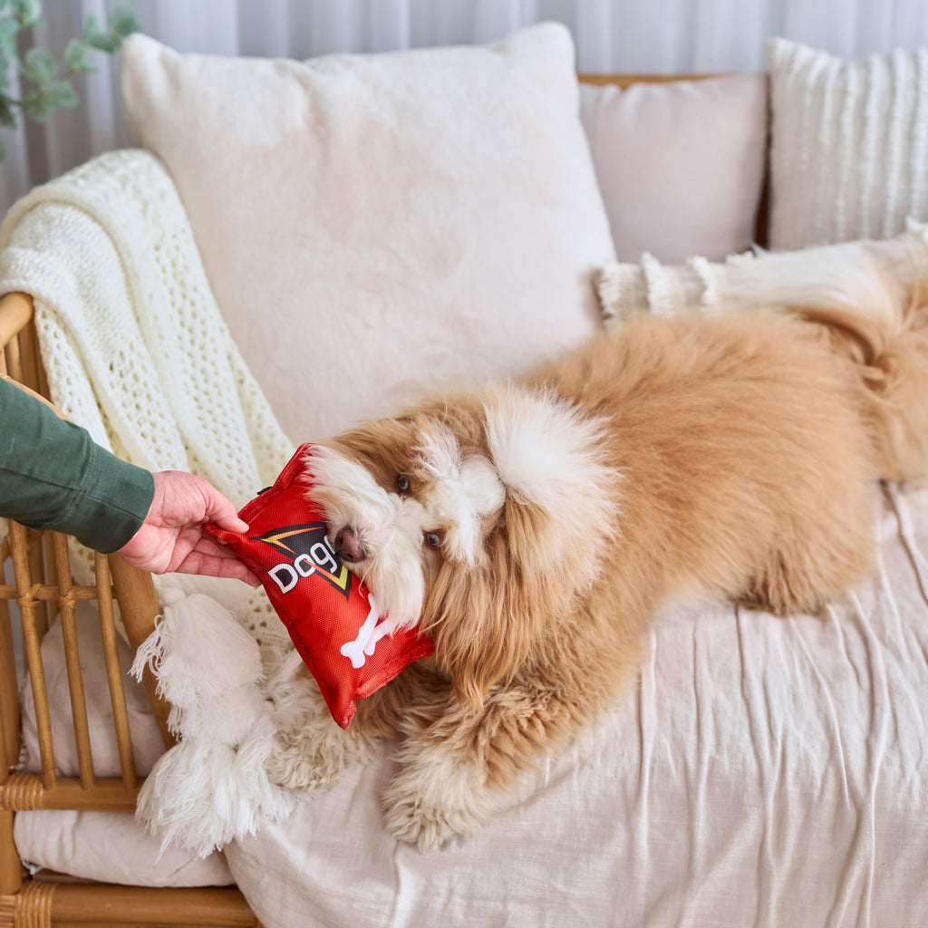 Plush Squeaker Toy for Small and Medium Dogs A2518