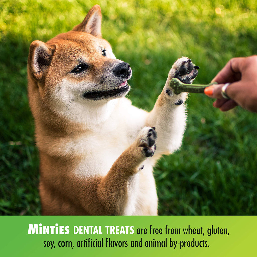 Minties Dog Dental Bone Treats I762524